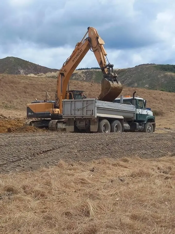 Excavator loading cut material onto a truck on a rural block